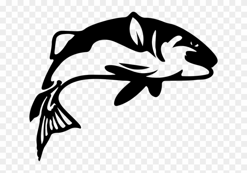 Free Image On Pixabay - Fish Silhouette #793712