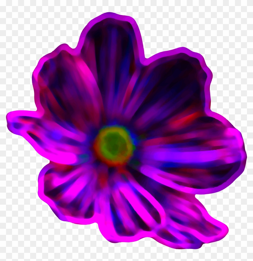 Big Image - Primula #795436