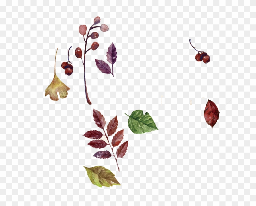 Watercolor Painting Autumn Deciduous - Watercolor Painting Autumn Deciduous #795465