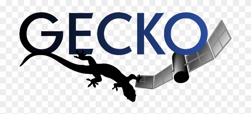 Gecko - Gekkonidae #795809