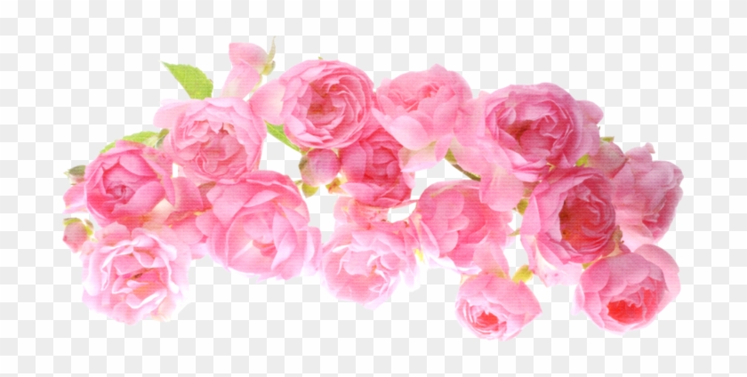 Png Клипарт Цветы - Texture Roses Png #796122