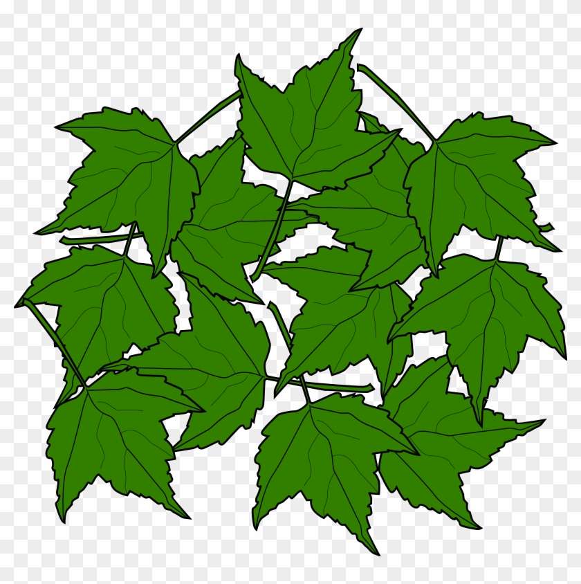 Similar Clip Art - Autumn #796610
