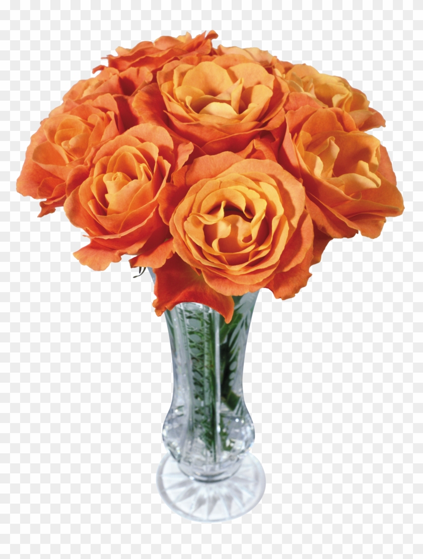 Pure White Roses - Pure White Roses #796856