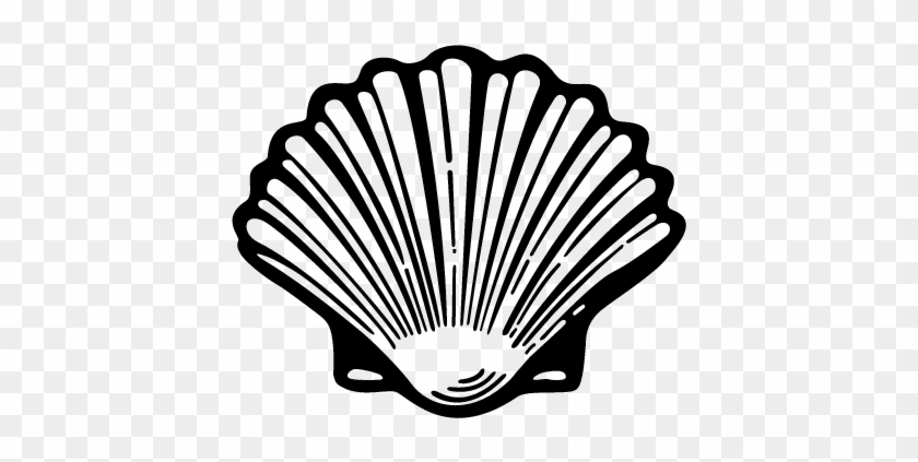 Fresh Conch Shell Clip Art How To Draw A Conch Shell - Oyster Shell Clip Art #796899