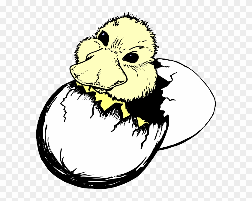 Clip Art - Cartoon Egg Hatch Png #796992