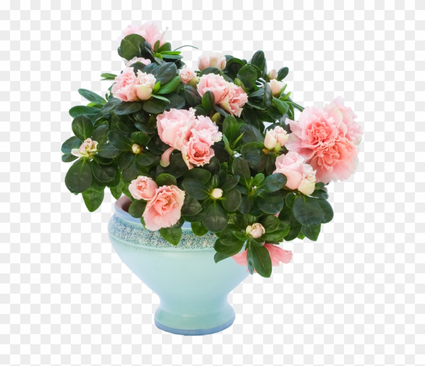 Vases De Roses - عید غدیر خم گیف #797348