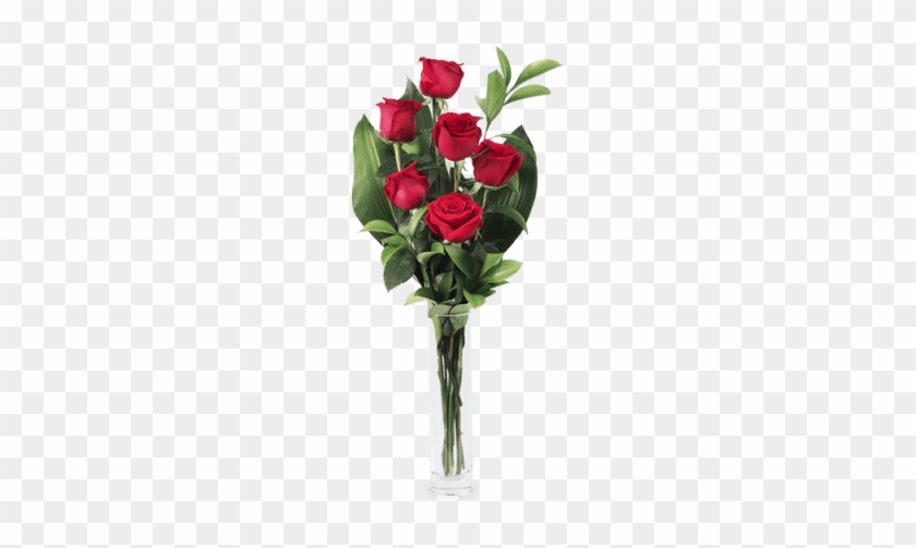 Rosas Sant Jordi 2017 #797362