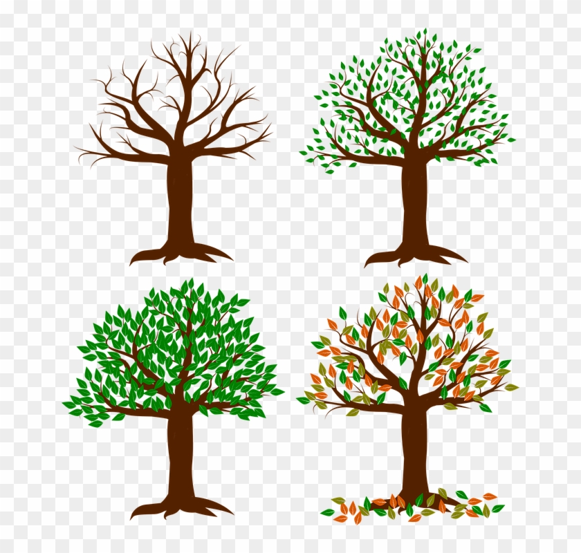 Spring Tree Clipart 20, - Four Seasons Clipart Tree Transparent #797710