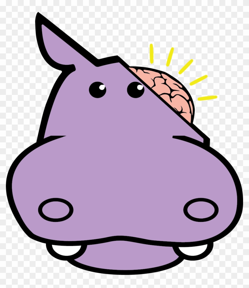 Hippooptics - Hippooptics #798663