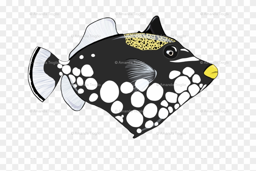 Trunkfish #799483