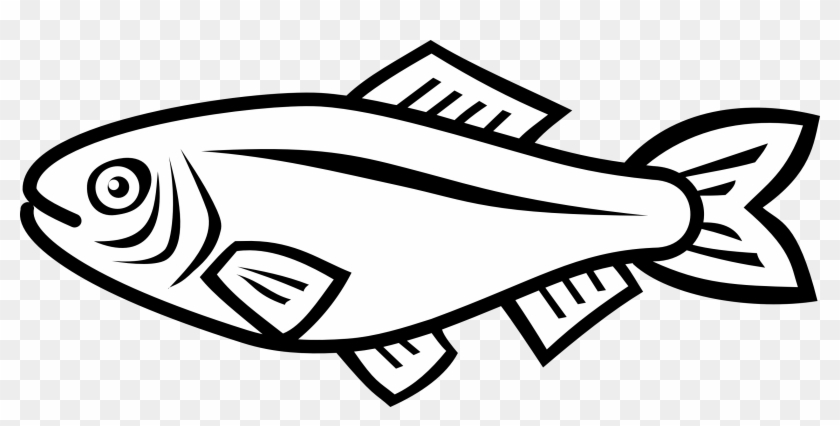 Simple Fish Vector By Nico-e On Deviantart - Fish Vector #799589