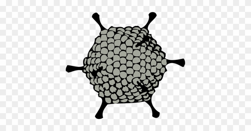 Ian Symbol Adenovirus - Adenovirus Png #799682