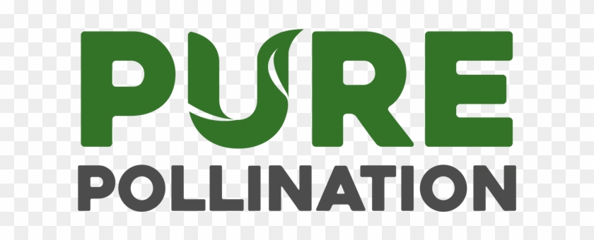 Pure Pollination Pure Pollination - Herb #799996