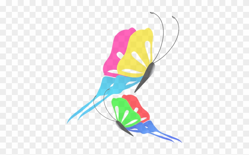 Graphic Design #800243