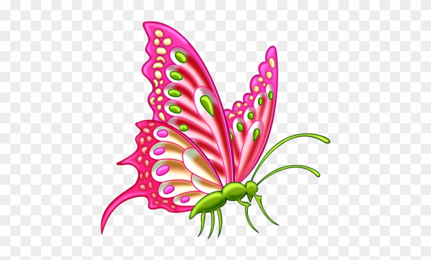 Butterfly 3 - Giant Butterfly Clip Art #800252
