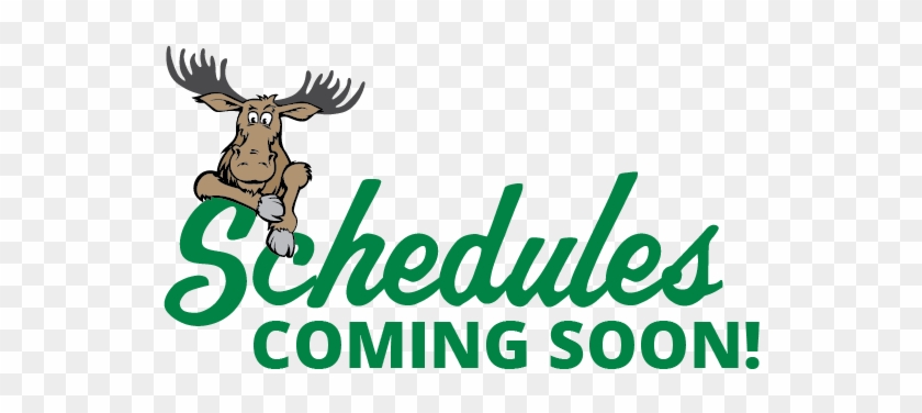 Schedules Coming Soon - Schedules Coming Soon #800637