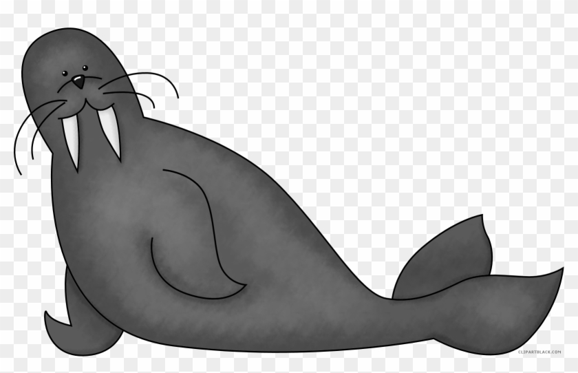 Walrus Animal Free Black White Clipart Images Clipartblack - Black And White Walrus Clipart #800833