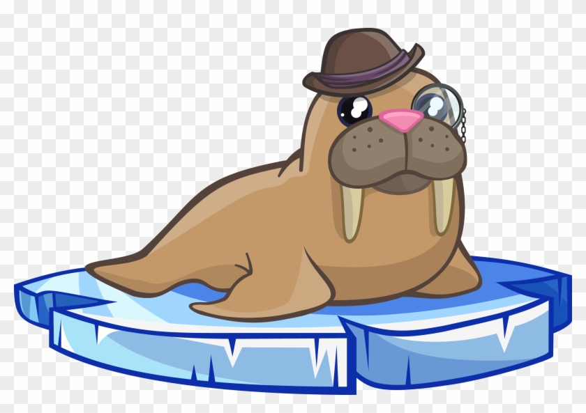 Animals, Walrus Clipart - Walrus Clipart #800836