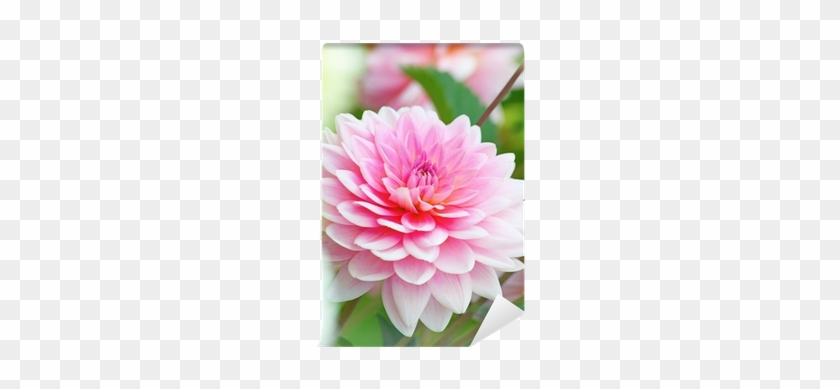 Adesivo Decorativo De Porta - Flores - 053cnpt Auto #801700
