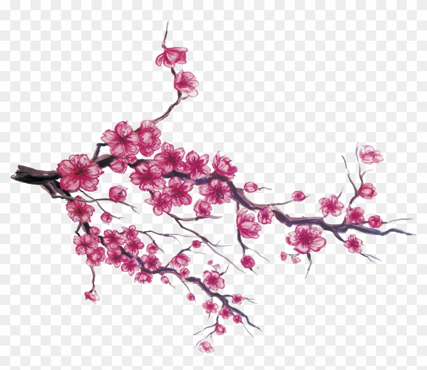 Japan Cherry Blossom Download - L'arcobaleno Dei Fiori #801770