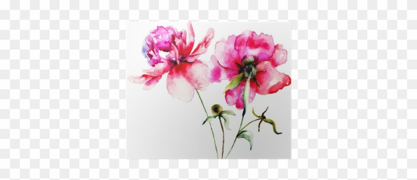 Breast Cancer Clear & Simple: All Your Questions #801828