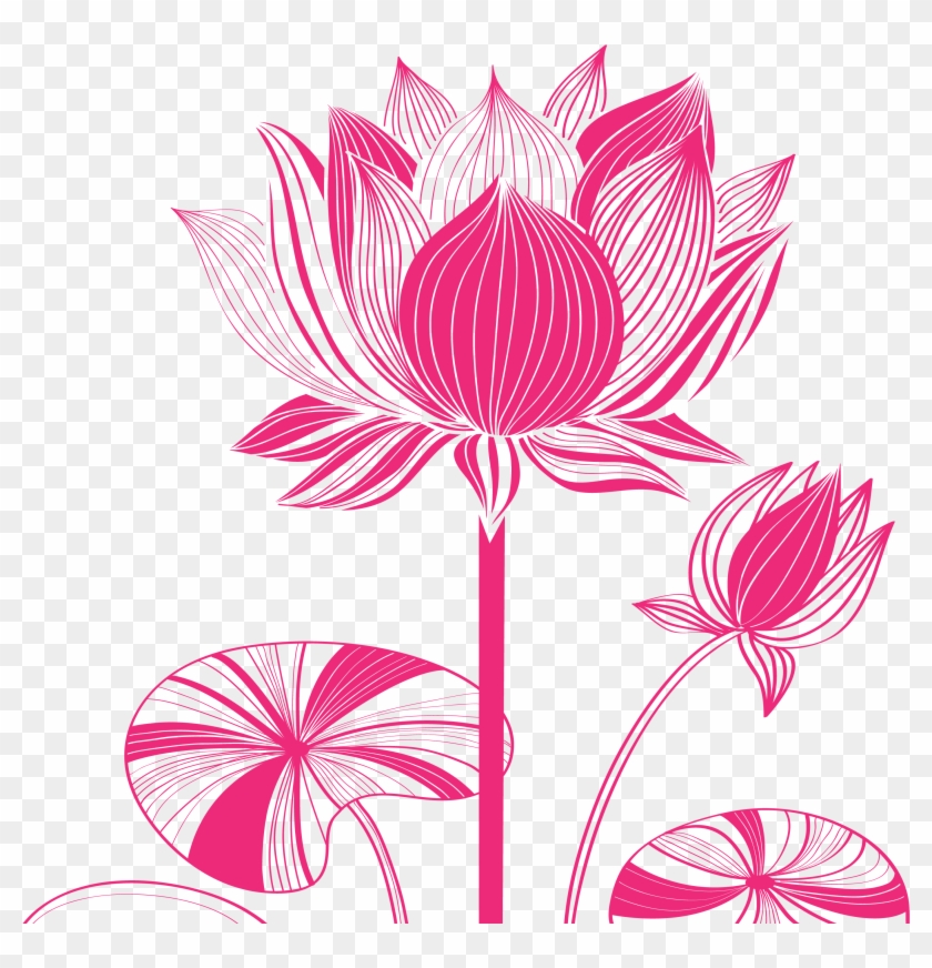 Nelumbo Nucifera Euclidean Vector Drawing - Kama Sutra : A Guide To The Art #802127