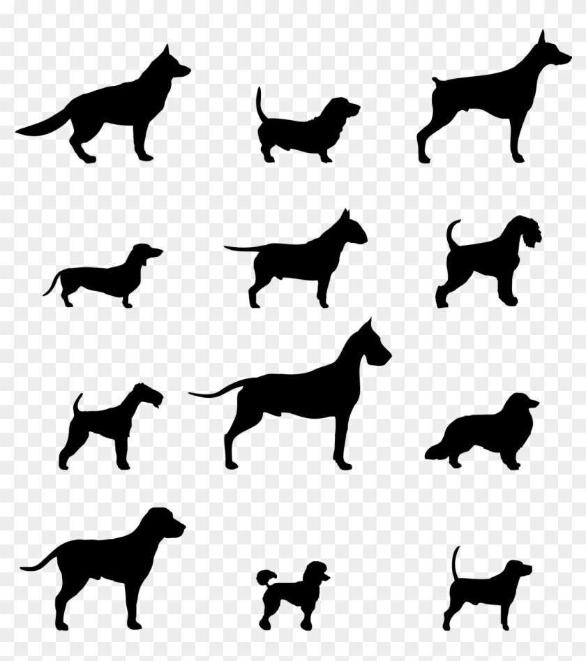 Dog Silhouette, Silhouettes, Silhouette - Flower Great Dane Floral Design Great Dane T-shirt #802442