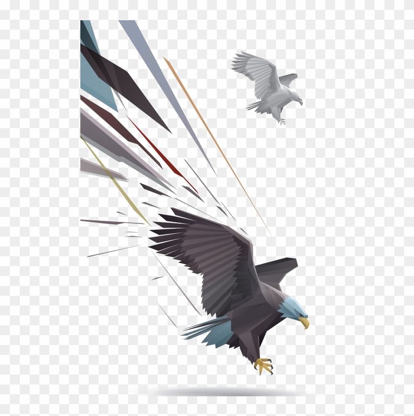 Bald Eagle Drawing Illustration - Bald Eagle Drawing Illustration #803092