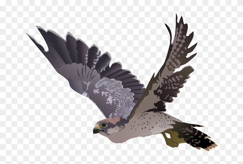 Falcon Clip Art - Falcon Clip Art #803180