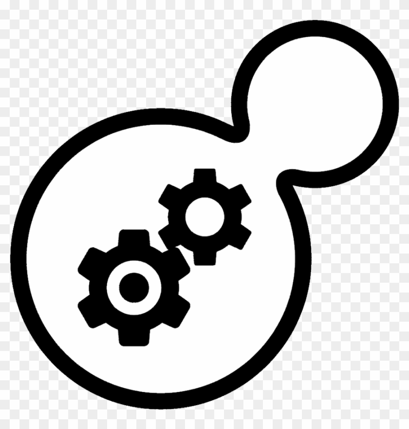 Schema Update Or An Entire Chain Of Applications Before - Bumper Sticker #803613