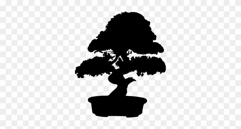 Bonsai #803731