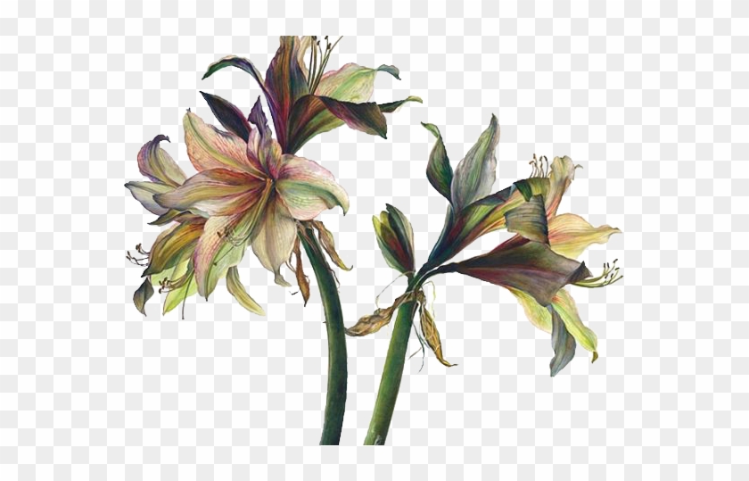 Floral Design Art Watercolor Painting Drawing - Floral Design Art Watercolor Painting Drawing #803821