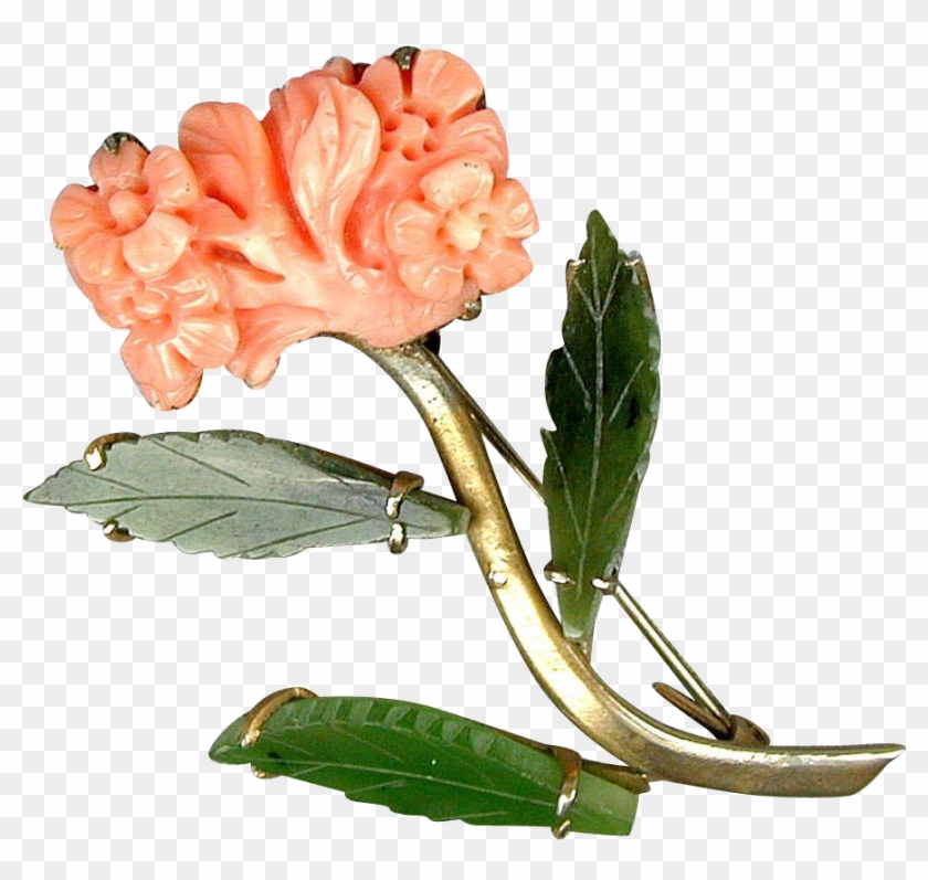 Carved Angel Skin Coral - Southern Magnolia #803969