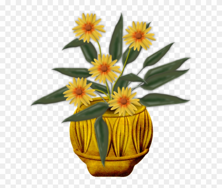 Element4juillet2 Ec91f05hhf Ea9nn502a1 - Gazania #804016