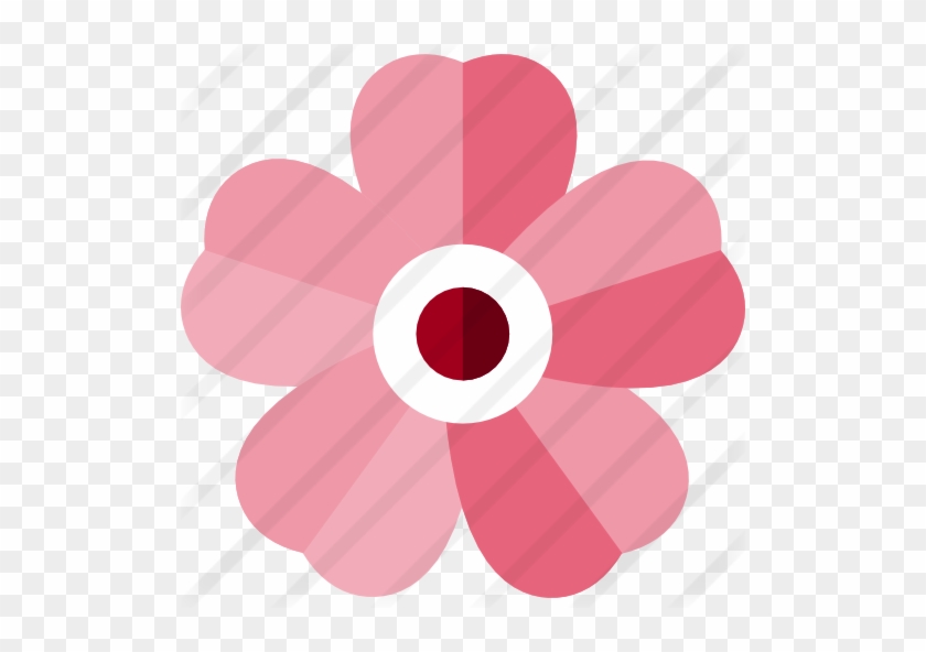 Cherry Blossom - Cherry Blossom #804394