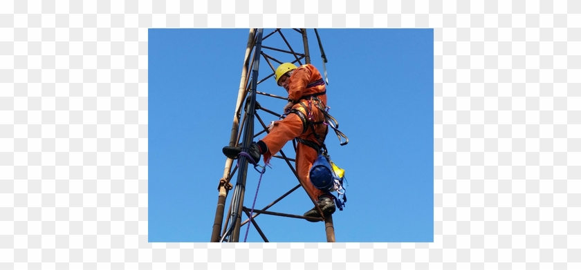 Www - Trivoo - Net - Rope #804479