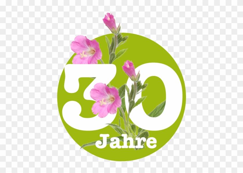 Aurich #805321