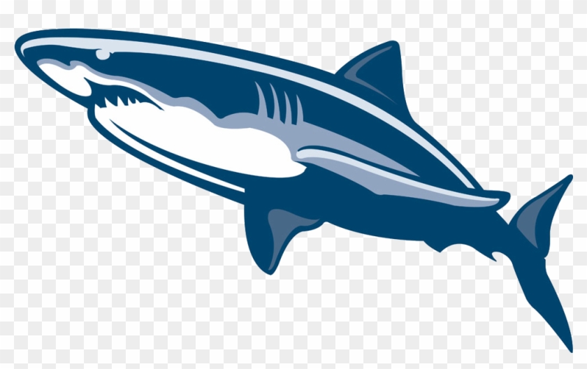Shark Fish Drawing Illustration - Shark Fish Drawing Illustration #805366