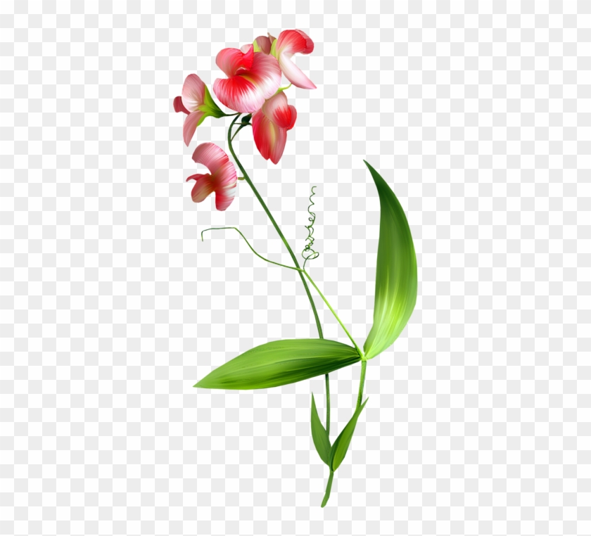 Flower Blume Clip Art - Flower Blume Clip Art #805388