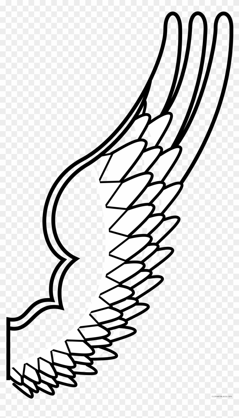 Bird Wings Animal Free Black White Clipart Images Clipartblack - Bird Wing Clipart Black And White #805686