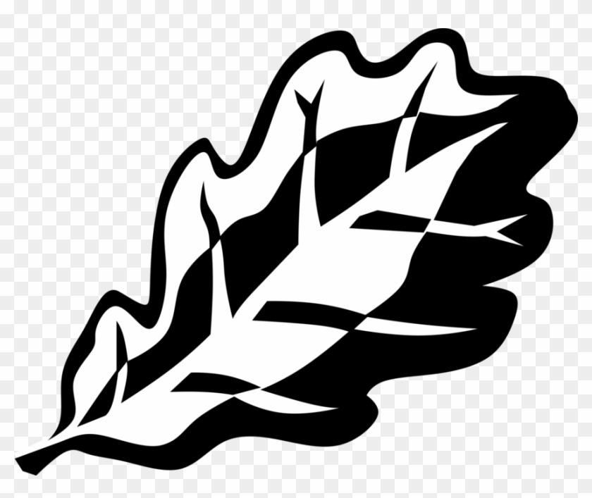 Vector Illustration Of Deciduous Forest Tree Oak Leaf - Illustration #806121