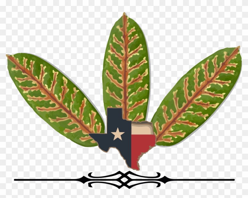 Clip Art #806122