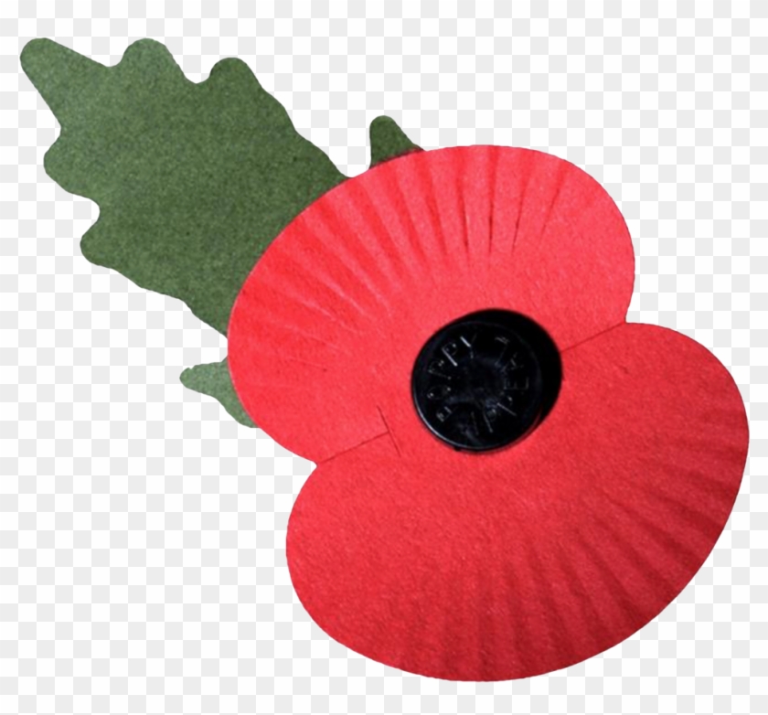 Poppy - .com #806464