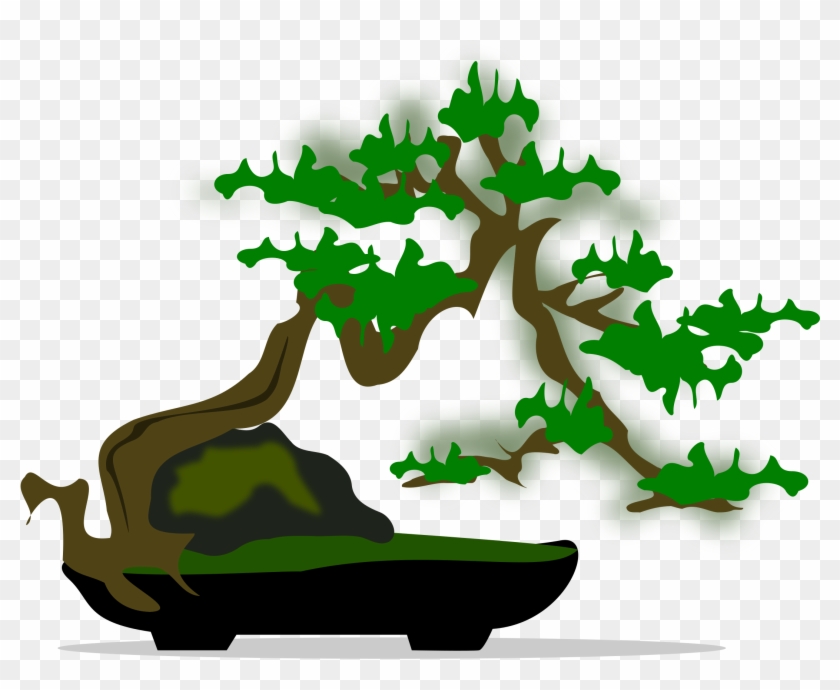 Bonsai-05 - Bonsai #806548