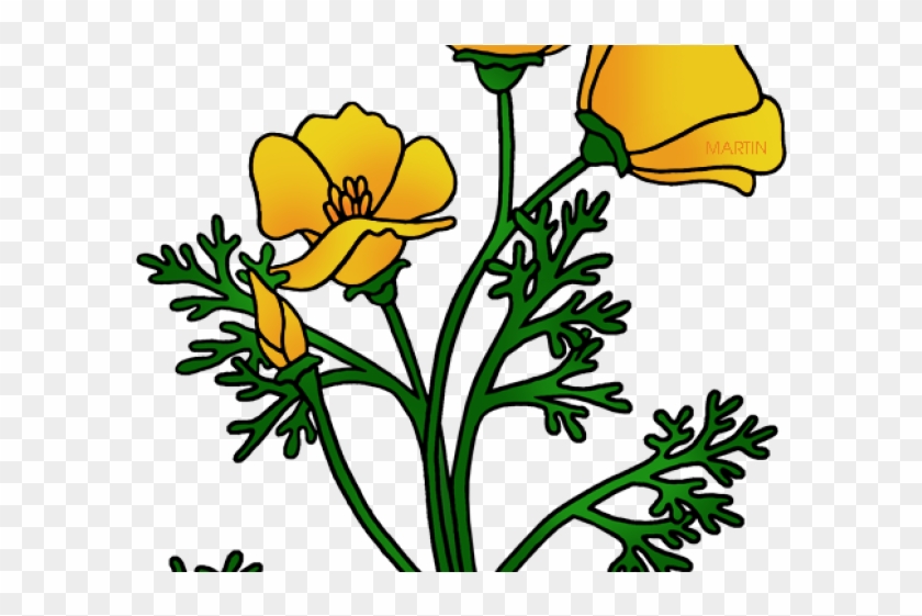 Poppy Clipart California State Flower - California Poppy Clip Art #806761