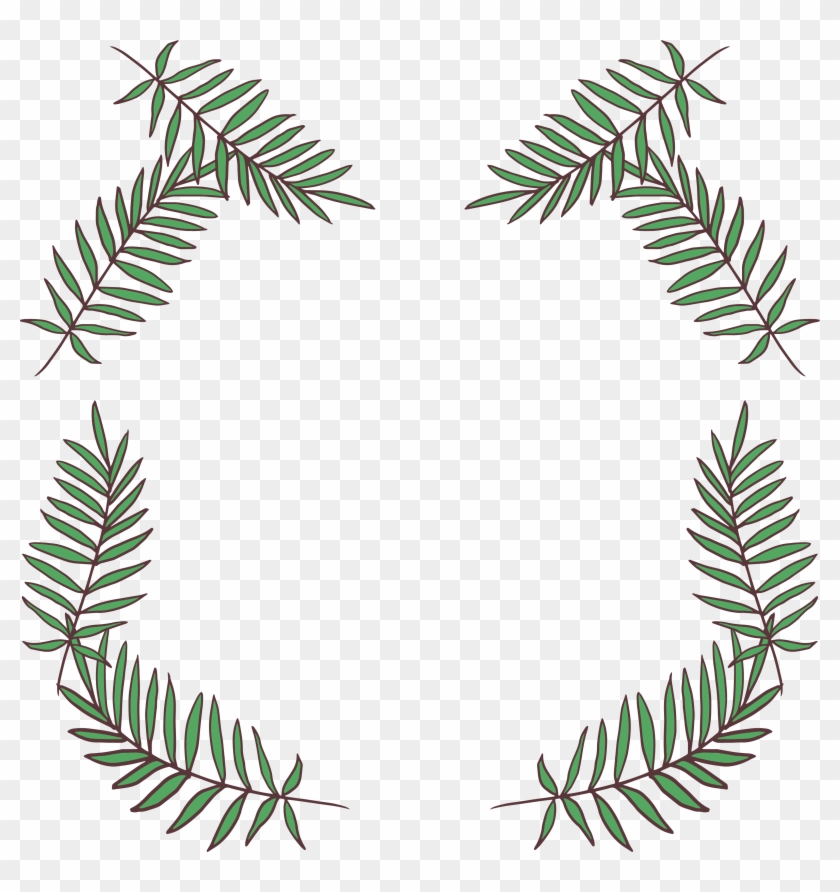 Fir Leaf Pine - Pine #807127