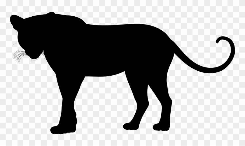 Medium Image - Leopard Silhouette #807650