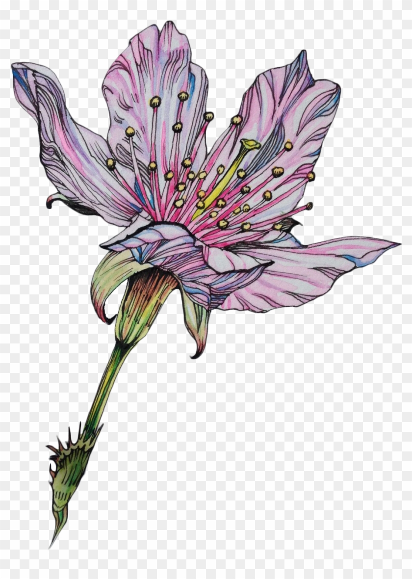 Png-transparent - Tumblr - Com - Gramunion - Tumblr - Flowers Drawing We Heart #807777