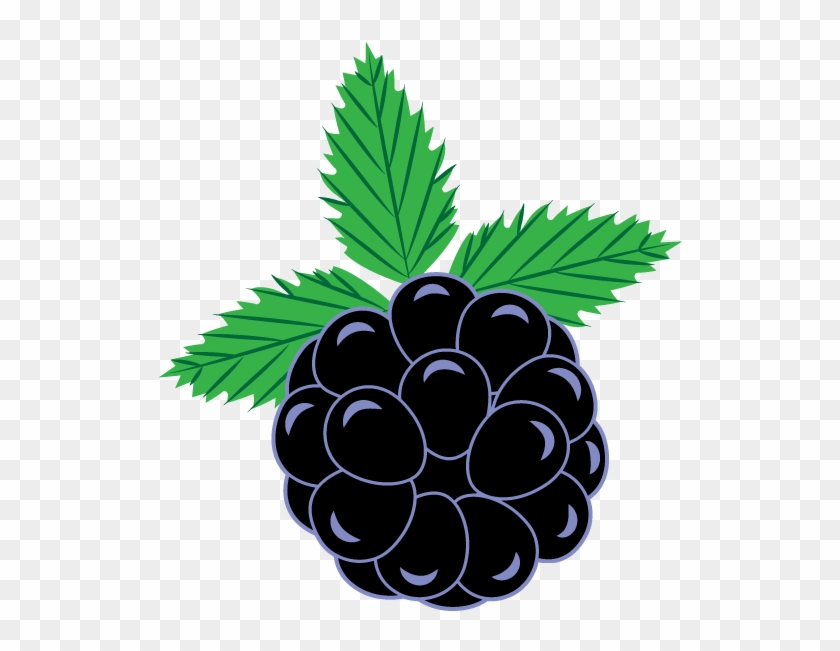 Blackberry Curve Clip Art - Clip Art #807901