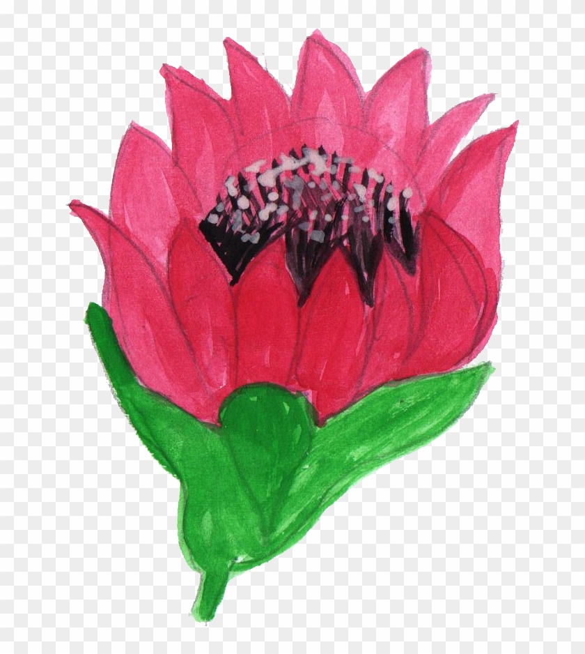 Free Download - Watercolor Painting #807936
